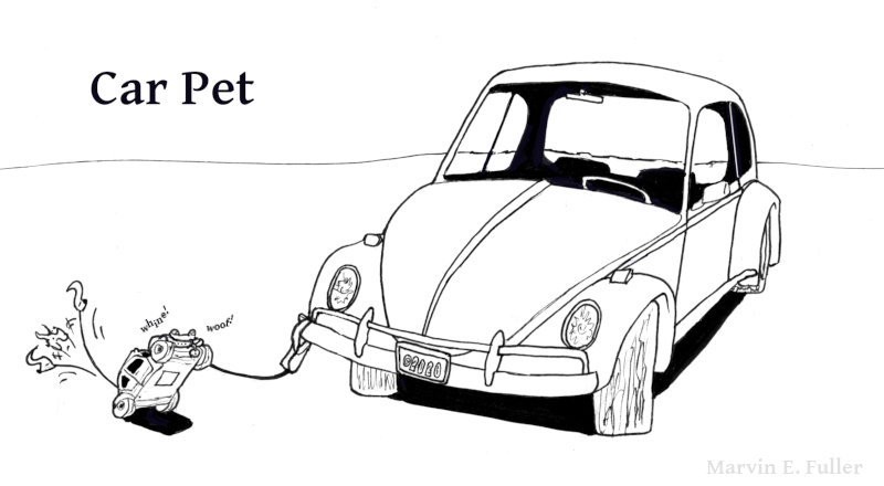 Car Pet